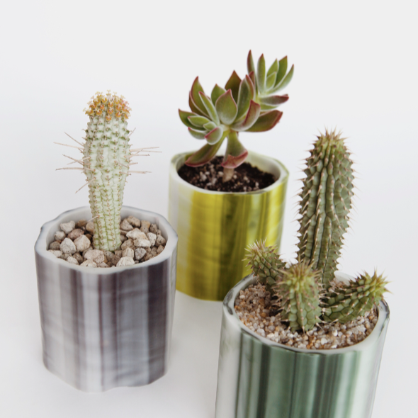 LE LEU DE L'EAU | CITRON CANDLE