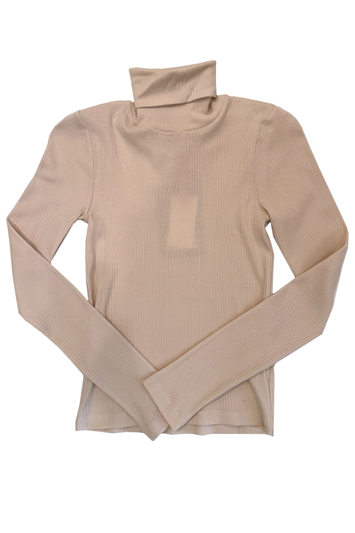 ARLO MOTT | CLINTON TURTLENECK