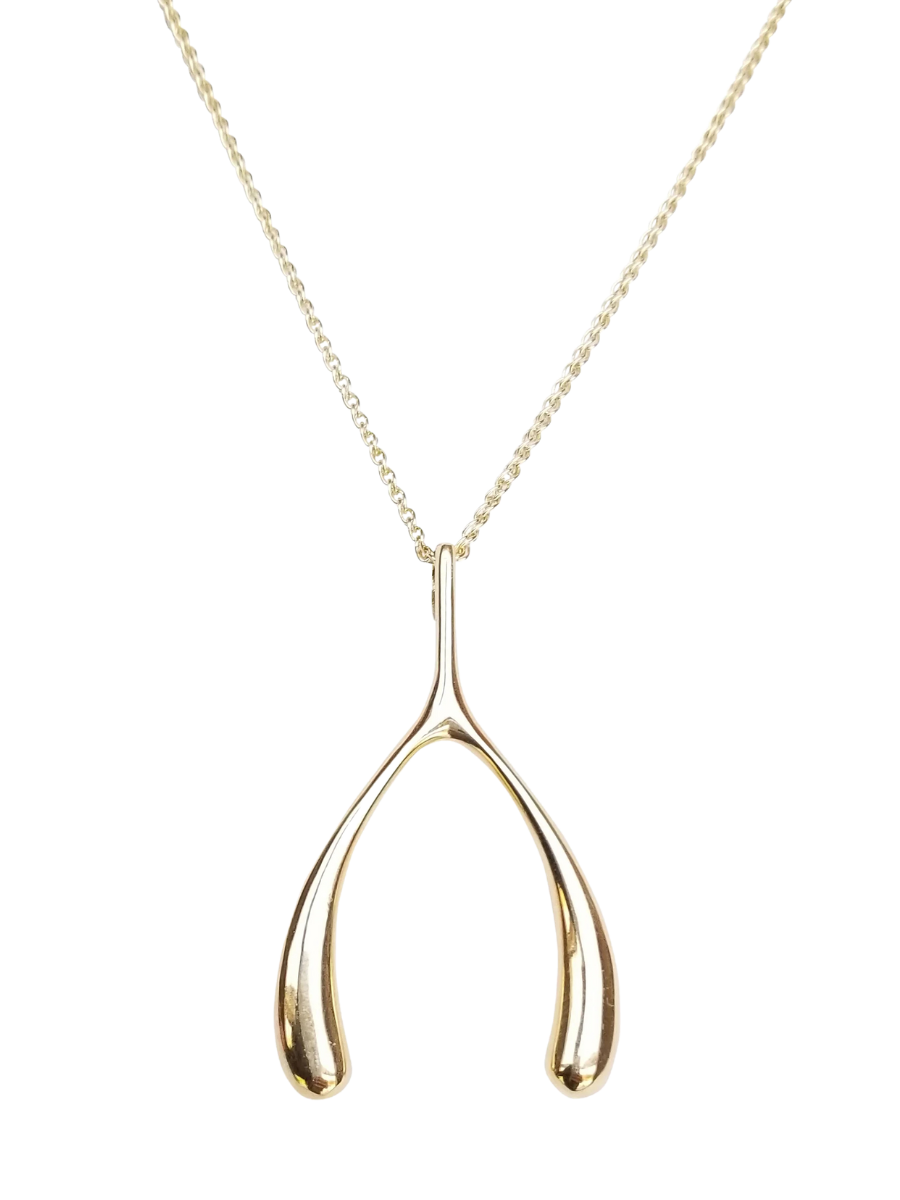 JANE WIN | LUCKY WISHBONE NECKLACE