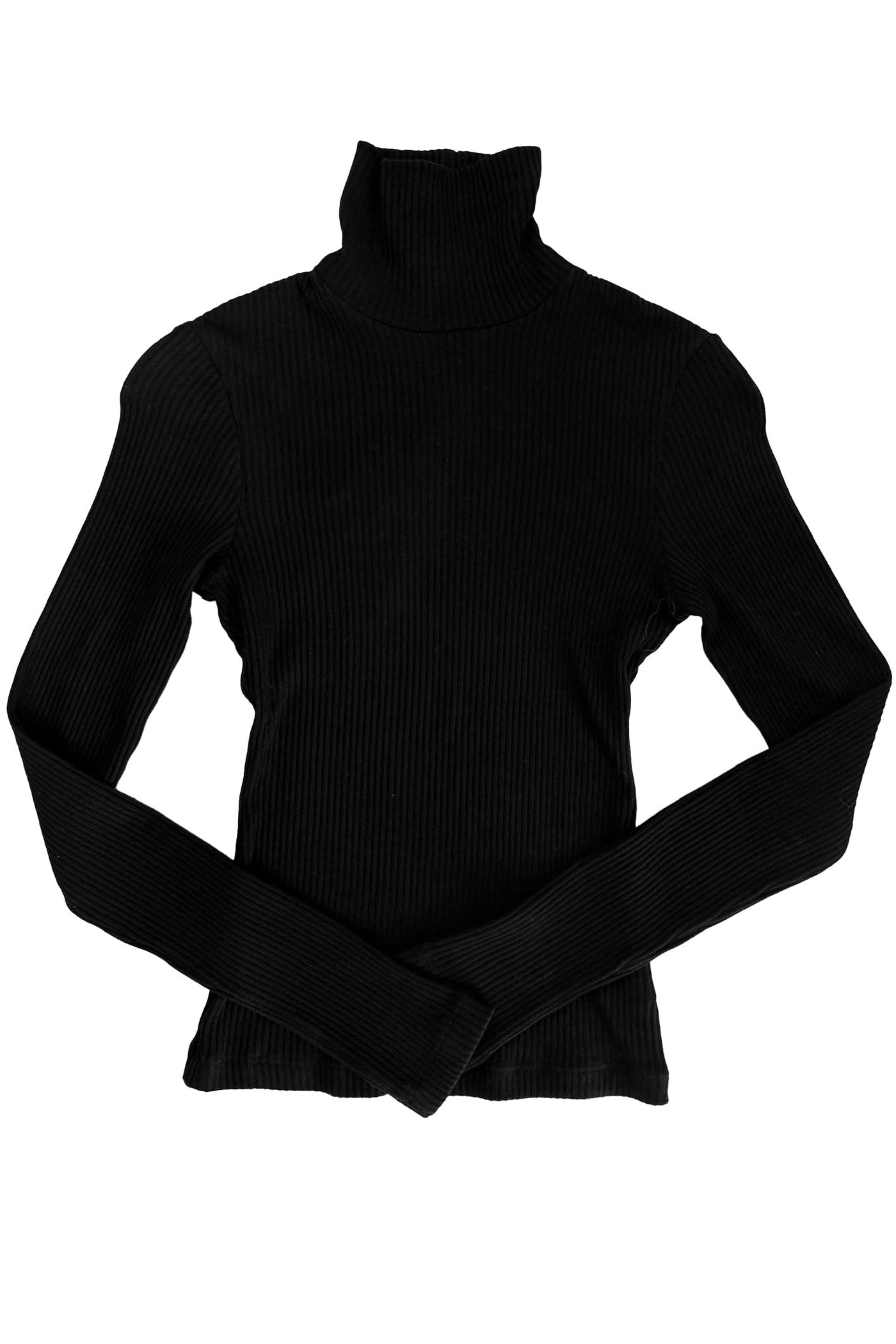 CITIZENS OF HUMANITY | CARADENE TURTLENECK
